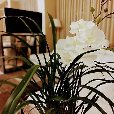 Mia Restaurant Airport