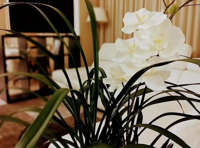 Mia Restaurant Airport