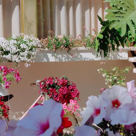 Mia Restaurant Airport 3* 리미니