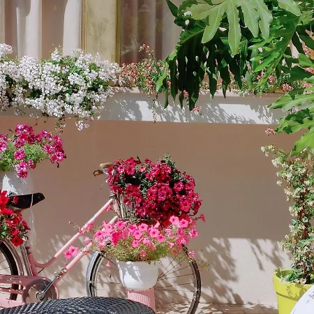 호텔 Mia Restaurant Airport 리미니