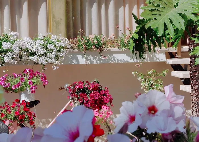 Mia Restaurant Airport 3* 리미니