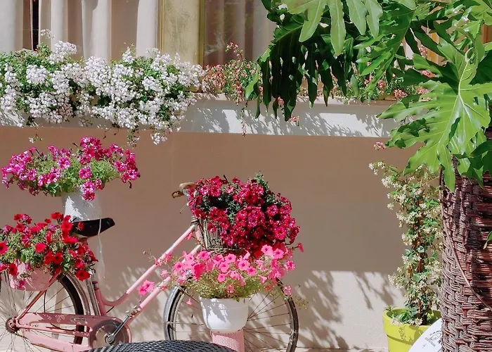 Hotel Mia Restaurant Airport Rimini